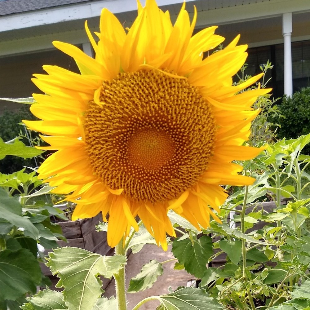 Meet your Posher, Terri